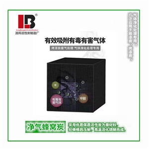 蜂窩活性炭