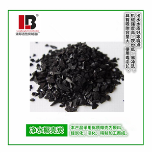 凈水椰殼活性炭