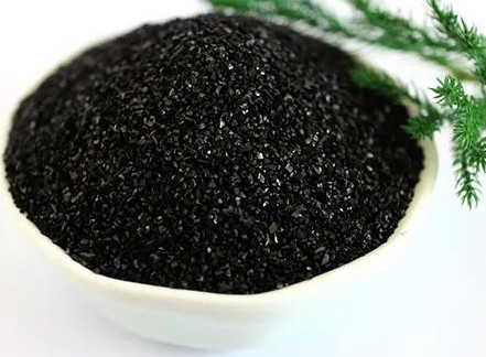 活性炭應用之垃圾焚燒電廠煙氣凈化工藝